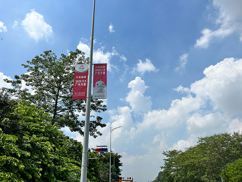 全运会道旗项目